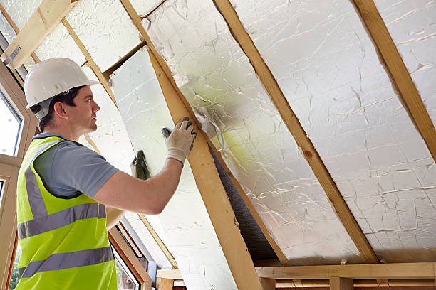 Best Residential Insulation in Garland, TX